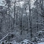 Cosy - Terrasse Et Detente, Escapade Nature Au Bonsoy Σαλέ