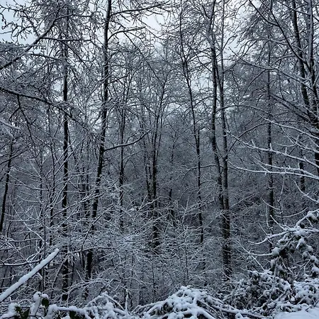 Bonsoy Charming House Chalet