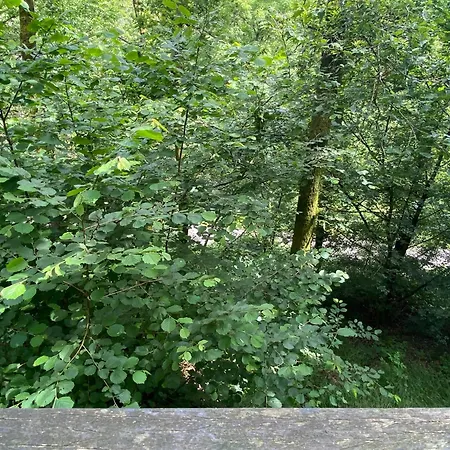 Cosy - Terrasse Et Detente, Escapade Nature Au Bonsoy