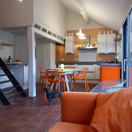 Bonsoy Charming House